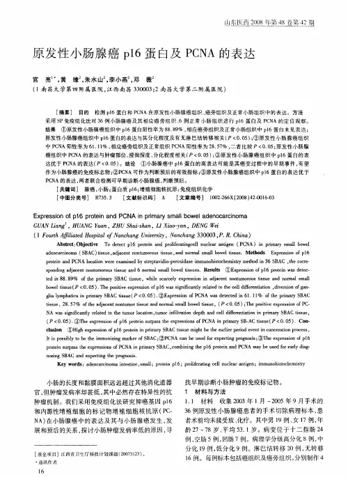 原发性小肠腺癌p16蛋白及PCNA的表达