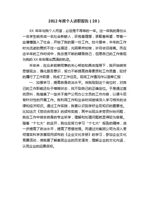 2012年度个人述职报告（20）
