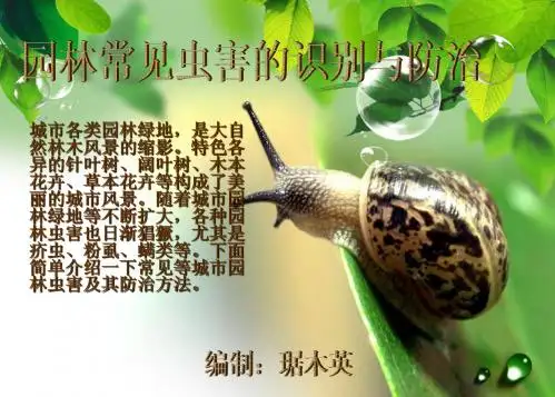 园林虫害的识别与防治