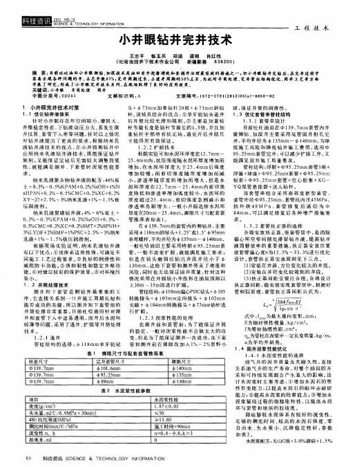 小井眼钻井完井技术