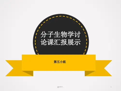 医用分子生物学讨论课基因组DNA提取琼脂糖凝胶电泳RNA提取ppt课件