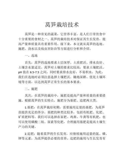 莴笋栽培技术