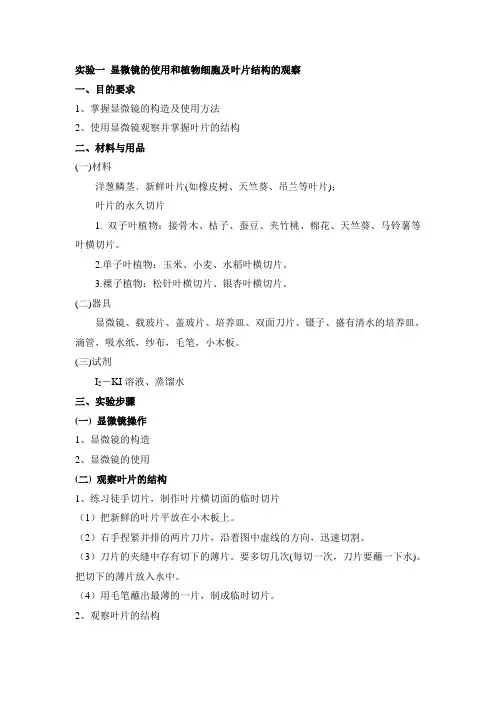 《初中生物大实验》教案