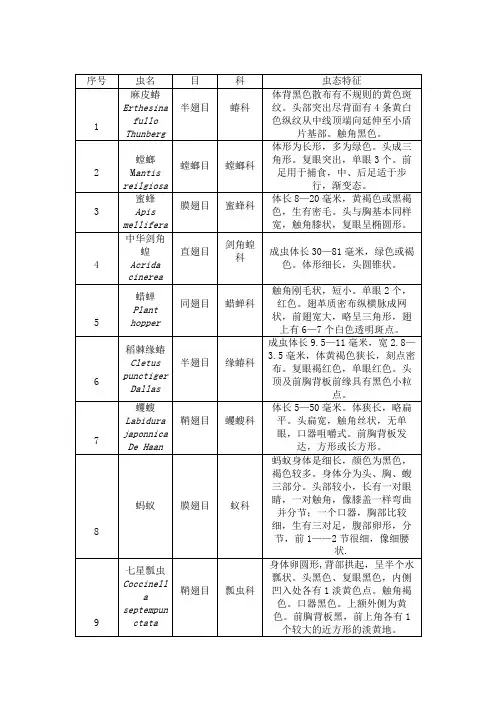 昆虫学实习-昆虫名录
