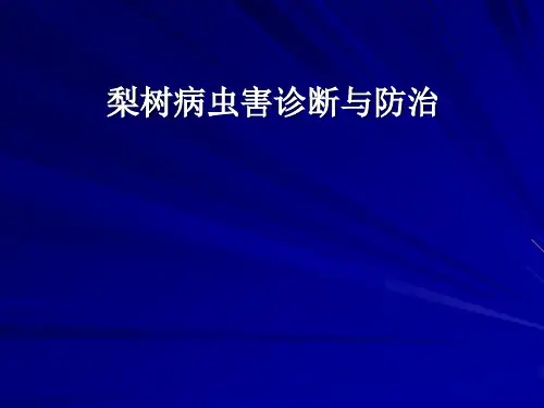 梨树病虫害诊断与防治