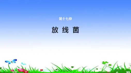 放线菌属、诺卡菌属