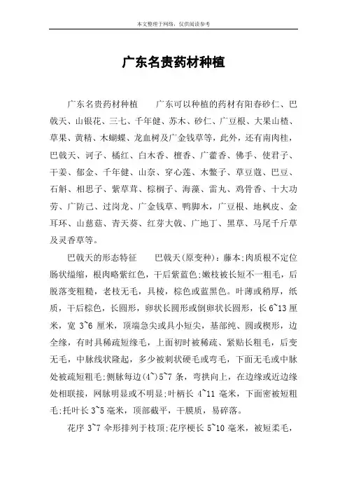 广东名贵药材种植