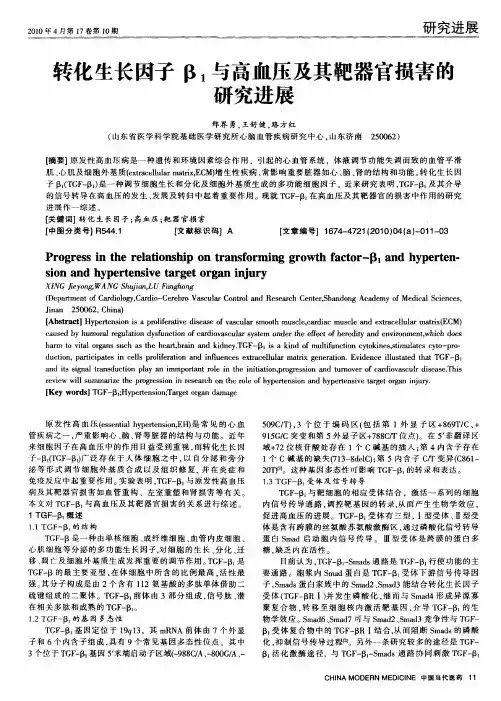 转化生长因子β1与高血压及其靶器官损害的研究进展