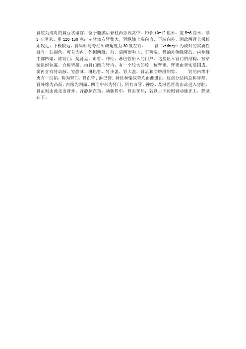 肾的形态简述