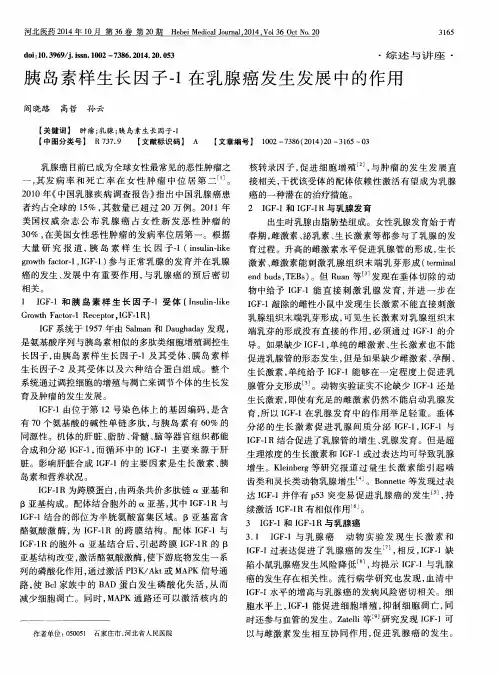 胰岛素样生长因子-1在乳腺癌发生发展中的作用
