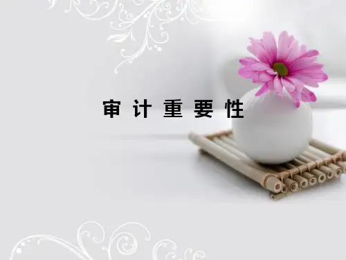 审计重要性PPT