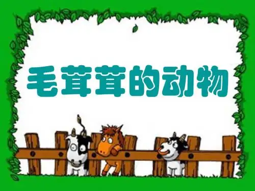 《毛茸茸的动物》课件
