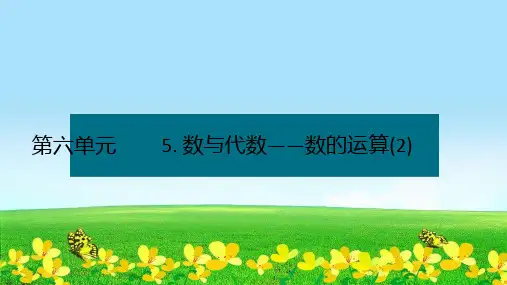新版六年级数学下册优秀课课件-第六单元5.数与代数——数的运算(2)人教版15张)