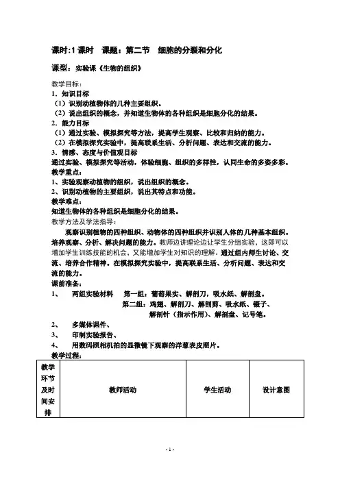 初中生物七年级上册《细胞的分裂和分化》教学设计