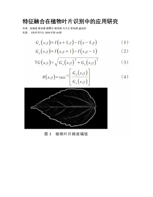 特征融合在植物叶片识别中的应用研究