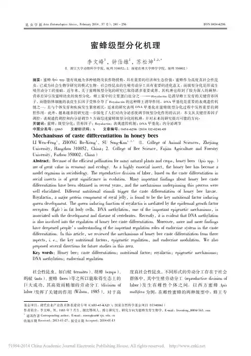蜜蜂级型分化机理_李文峰