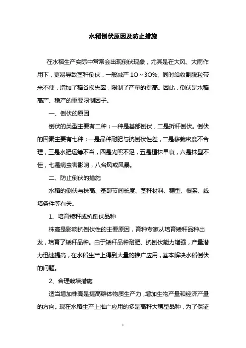 水稻倒伏原因及防止措施