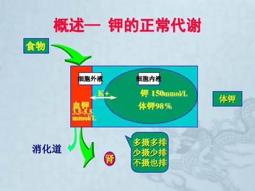 低钾血症课件