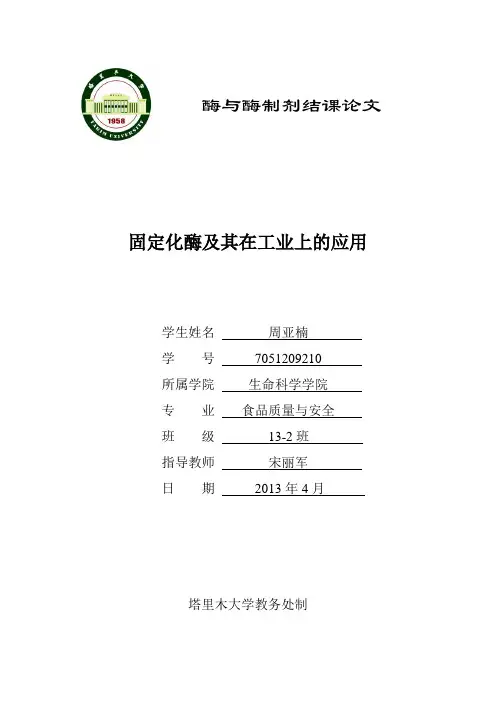 固定化酶结课论文