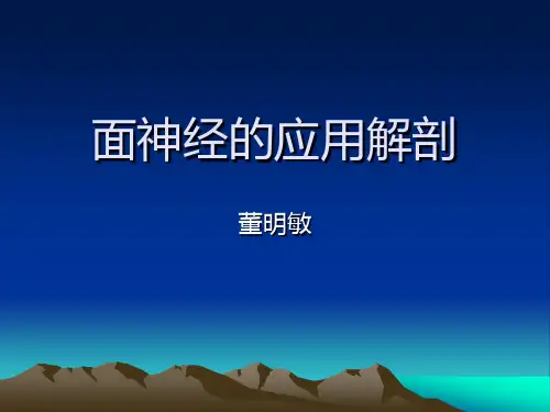 面神经的应用解剖