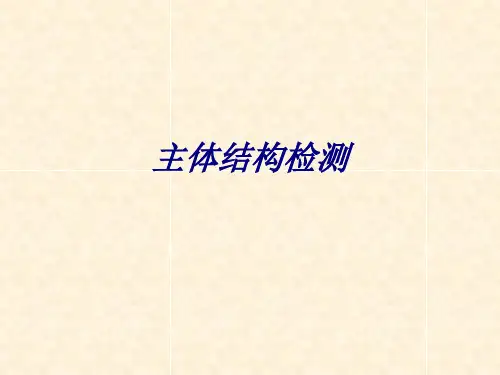 主体结构检测专题培训课件