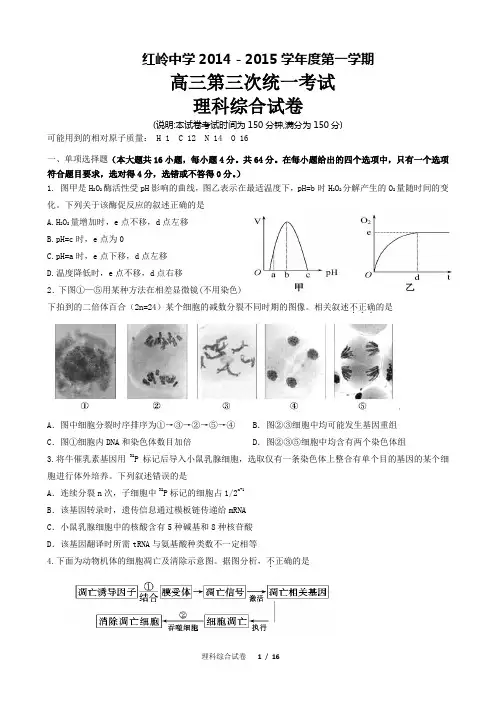 红岭中学红三模理综试题及答案