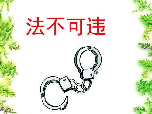 法不可违ppt优秀课件3 人教版PPT课件