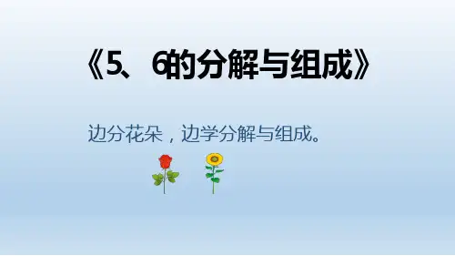 幼儿园大班-5、6的分解与组成.ppt