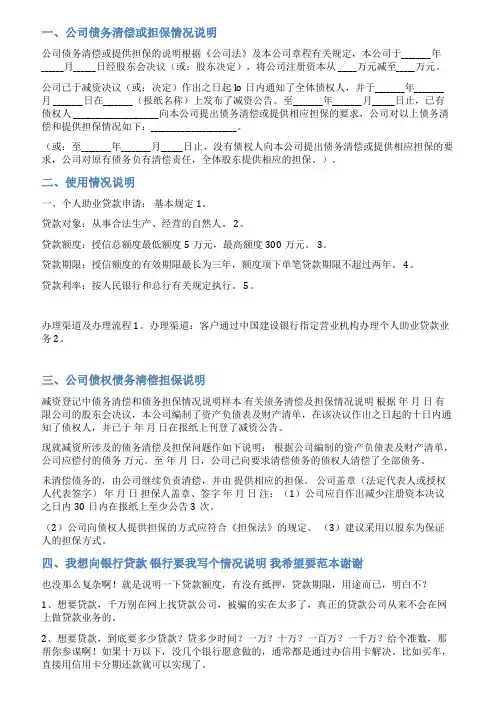 担保情况说明范文