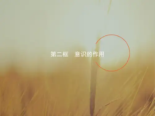 2017-2018学年高中政治必修4课件：5-2意识的作用 精品