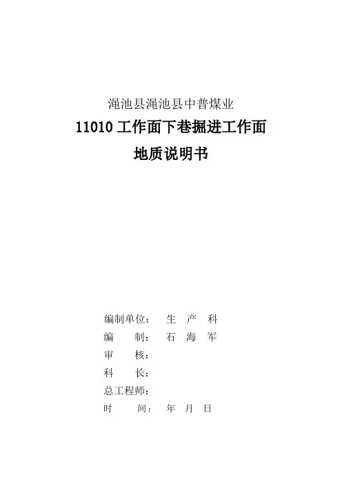 11010掘进工作面下巷掘进地质说明书