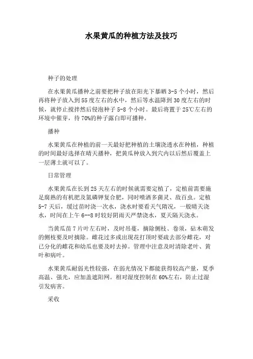 水果黄瓜的种植方法及技巧