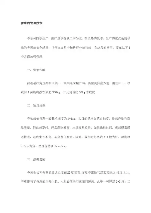 香葱的管理技术