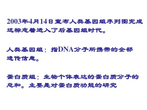 凝胶色谱法