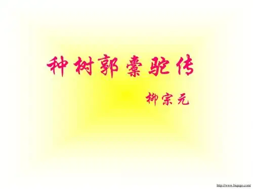 记录某人生平事迹的文字
