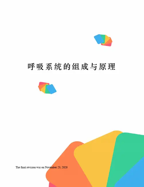呼吸系统的组成与原理
