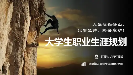 职业规划PPT案例