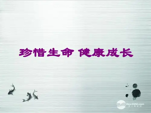 小学三年级交通安全教育《珍爱生命,健康成长》主题班会PPT课件