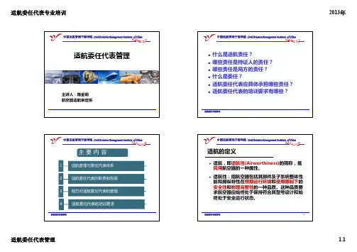 适航委任代表