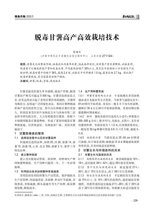 脱毒甘薯高产高效栽培技术