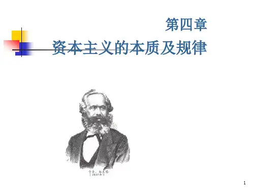 马原第四章PPT