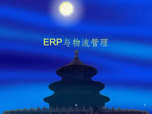 ERP与物流管理