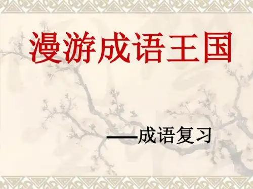成 语 复 习