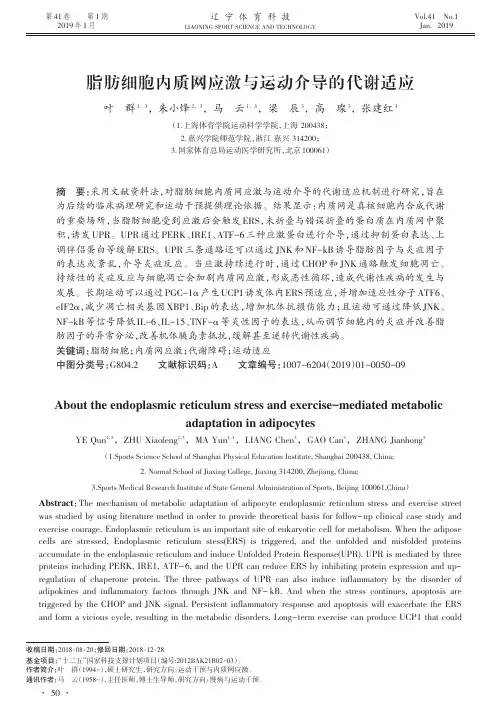 脂肪细胞内质网应激与运动介导的代谢适应