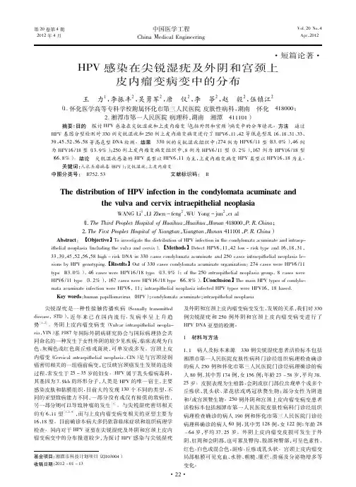 HPV感染在尖锐湿疣及外阴和宫颈上皮内瘤变病变中的分布
