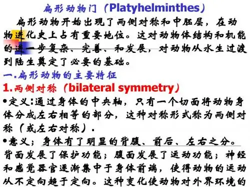 扁形动物门