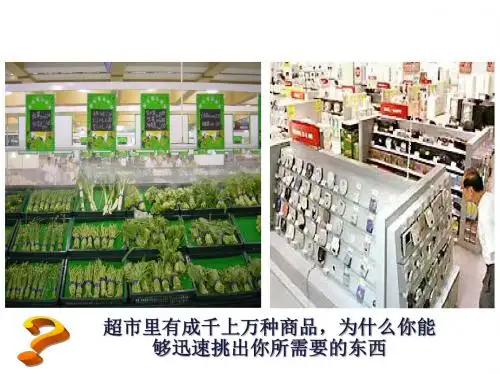 物质的分类PPT课件50 人教课标版