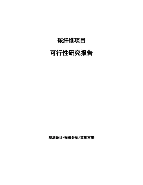 碳纤维项目可行性研究报告