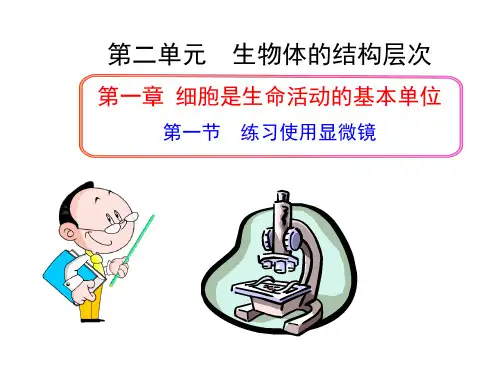 人教版生物七年级上2.1.1《练习使用显微镜》课件(共53张PPT)