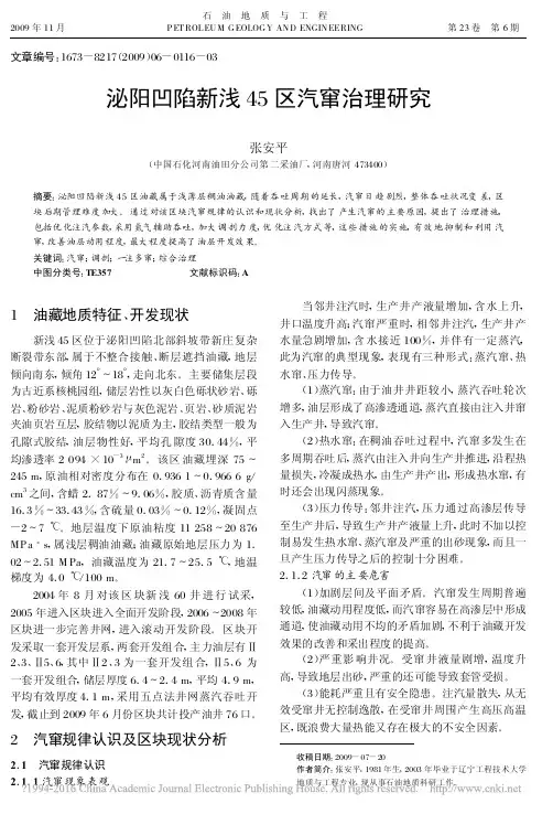 泌阳凹陷新浅45区汽窜治理研究_张安平